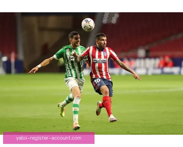 体育竞猜投注策略全面解析助你精准预测赛事结果提升盈利技巧