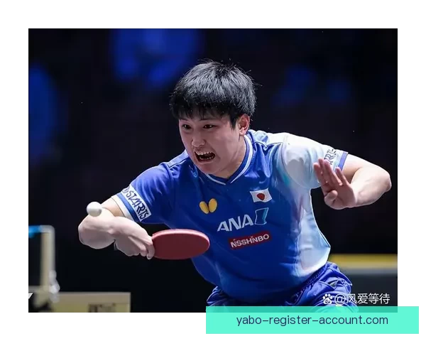 张本智和哽咽失声泪洒赛场 日乒两天四人泪流难以释怀